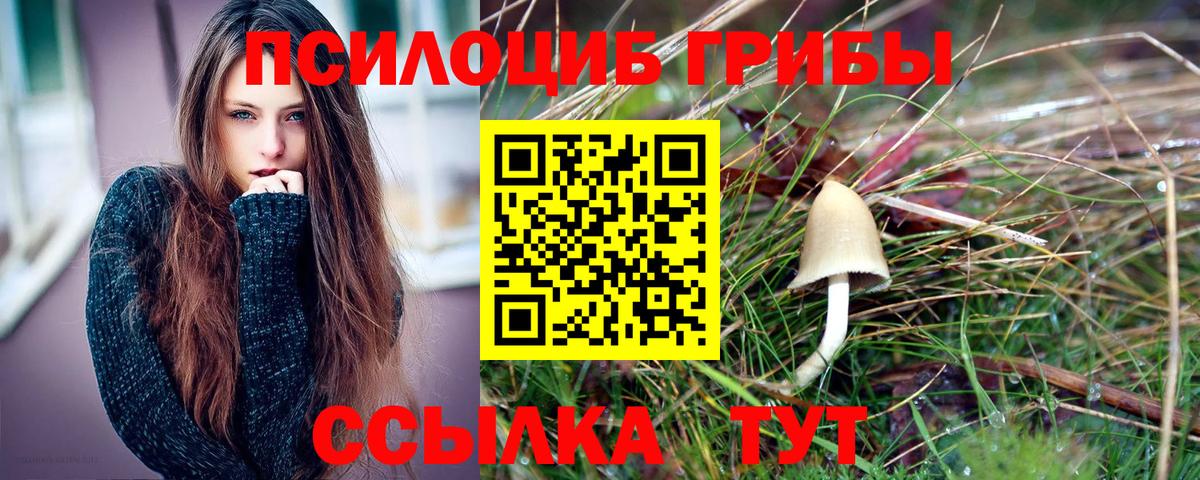 Галлюциногенные грибы прущие грибы Междуреченск